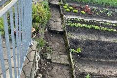 WhatsApp-Image-2024-08-19-at-13.19.38-7