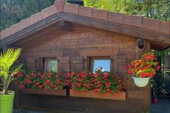 WhatsApp-Image-2025-04-02-at-16.18.31-1